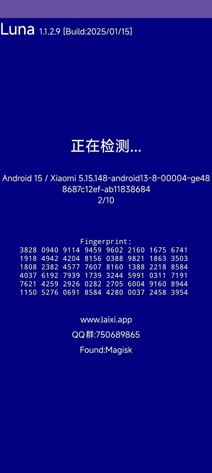 Luna 正在运行全面检测