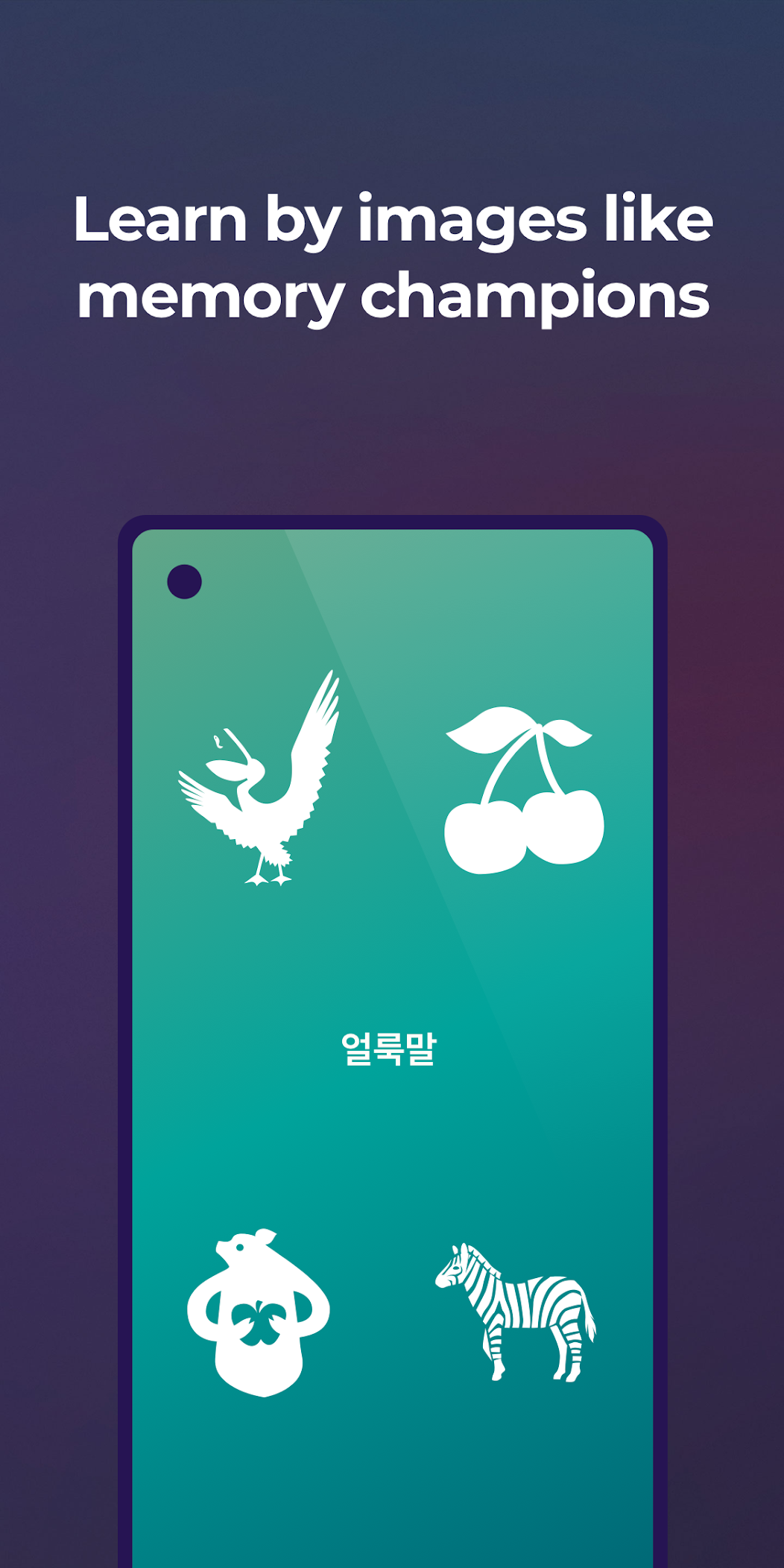 Drops 視覺化學習的插畫單詞界面