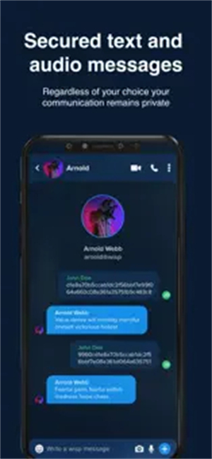 Wispr 安全與隱私特性
